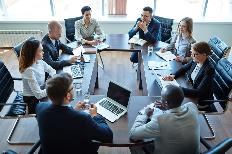Consulting for Investors & Developer