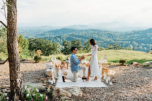 picnicproposal-02.jpeg