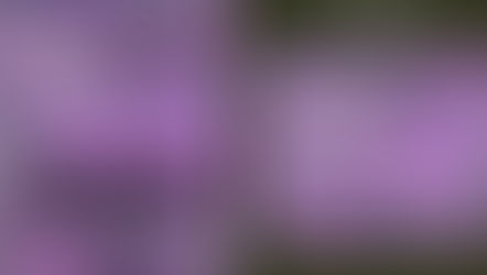 Livro: MÁS ALLÁ DE MODELOS POLÍTICOS EUROCÉNTRICOS