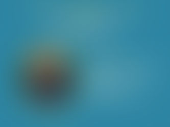 Webinário da UFMA com o Prof. Dr. Rudimar Baldissera