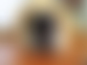 How Dogs Measure Time Through Their Sense of Smell
