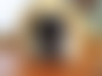 How Dogs Measure Time Through Their Sense of Smell