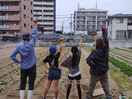 久々の畑へ!