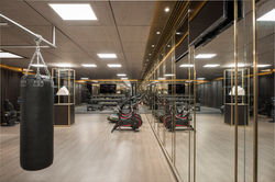 Lanesborough-Club-Spa-Room-Gym-2