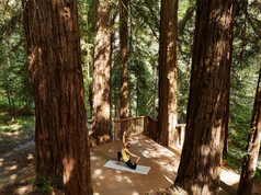 Canyon Ranch Lenox USA - Luxury Wellness Resort - Forest Yoga