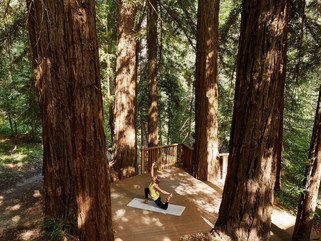 Canyon Ranch Lenox USA - Luxury Wellness Resort - Forest Yoga