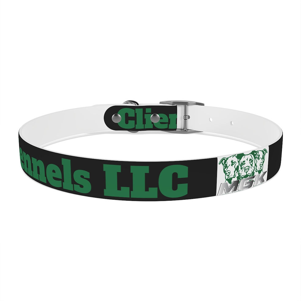Miniatura: Mamba G Kennels LLC Client Dog Collar