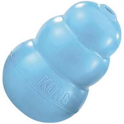 Kong Puppy