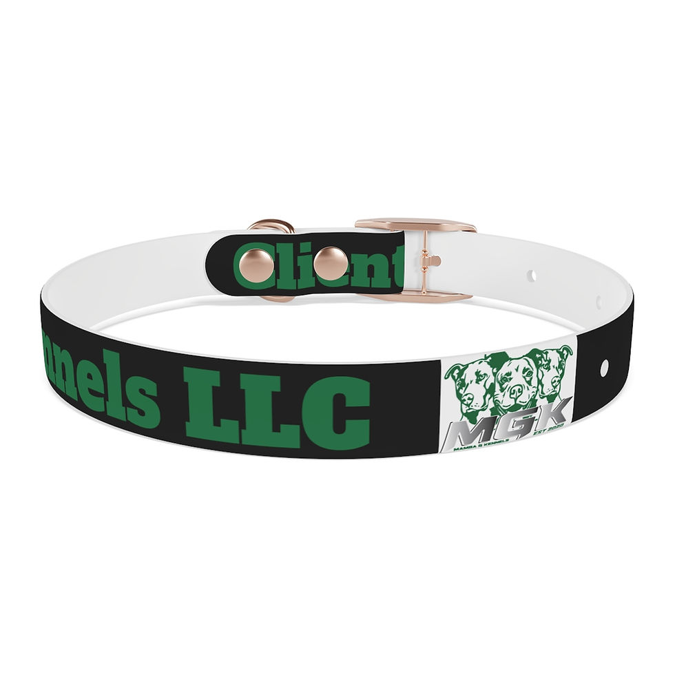 Miniatura: Mamba G Kennels LLC Client Dog Collar