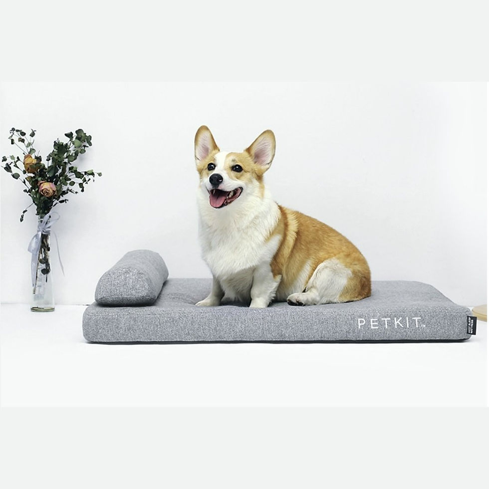 Miniatura: Instachew PETKIT Deep Sleep Dog Bed