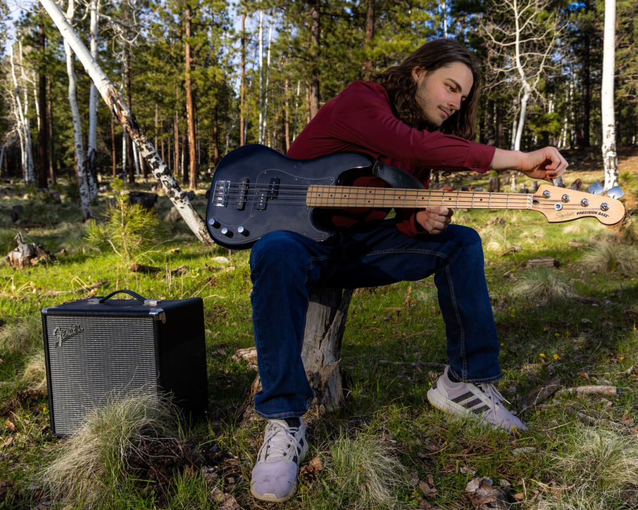 Man sitting on stump with bass guitar in an aspen field