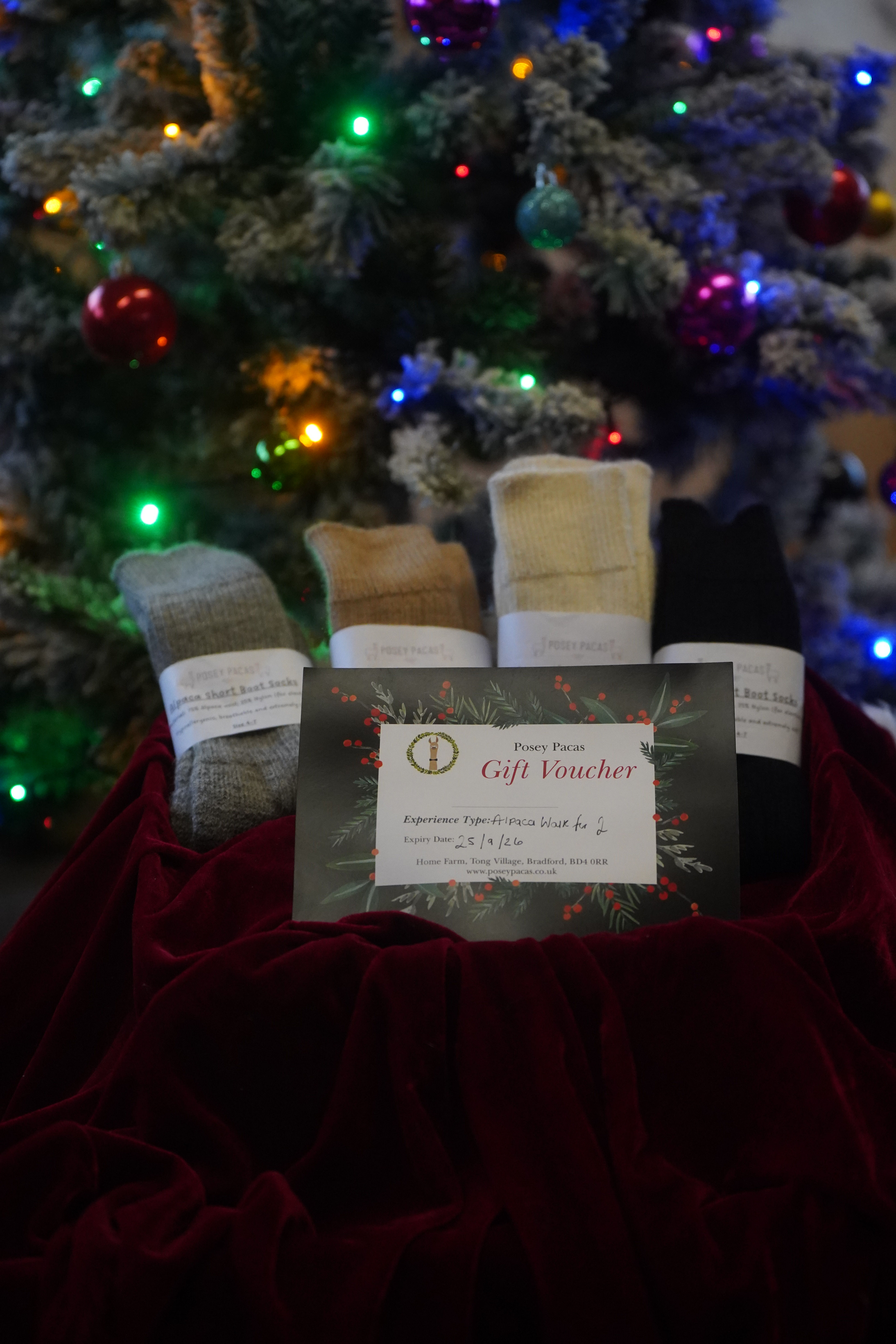 Gift set: Alpaca fleece socks & Walking Experience