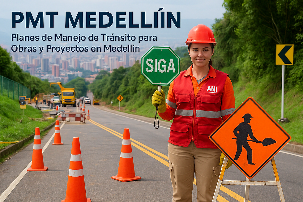 Plandemanejodetransitomedelllin.png
