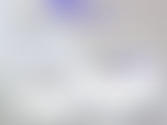 Youth delegates to KESKUS opening /// noordelegaat: tule löö kaasa!