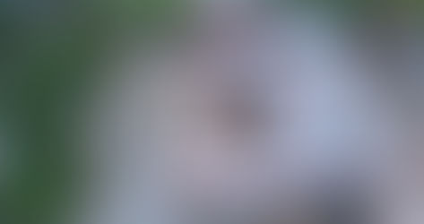 Construction update September 2025