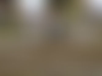 Fall Sports Clearance & Physical Requirements