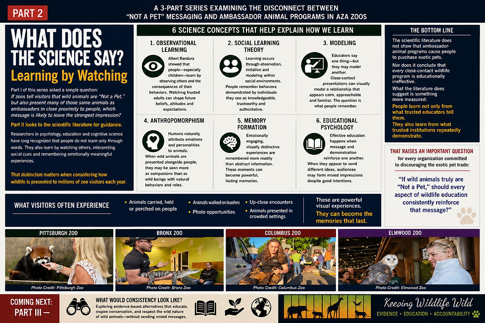 Infographic continuing the examination of the Association of Zoos and Aquariums Not a Pet campaign, highlighting animal welfare concerns and the consequences of keeping wild animals as pets.