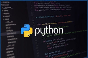 python.jpeg