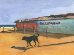 Chien plage Cap Vert