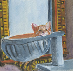 L'après-midi de Chaâbi