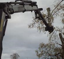 Nedtagning av större träd