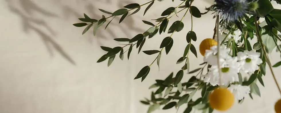 pexels-cottonbro-4270161.jpg