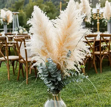 iStock-1251525034.jpg