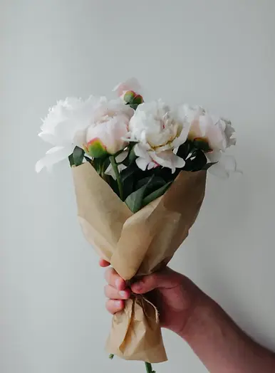 alina-karpenko-WCkWGoHHNOM-unsplash.webp