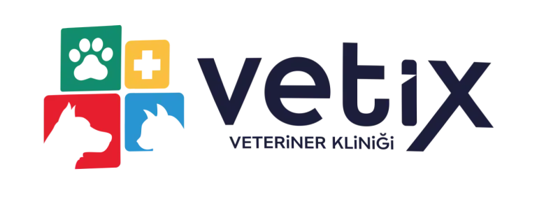 Mavi ve sarı renklerle yazılmış ''Yeni'' kelimesi, logo tasarımı, Tavsiye Benden