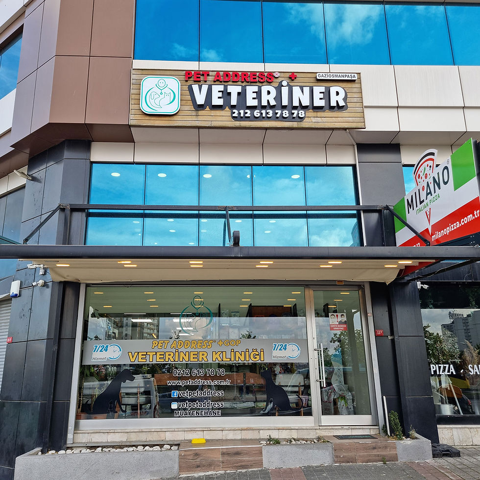 Pet Address Veteriner, YeniVet Yorumları, eczane tabelası ile veteriner kliniği dış görünümü.