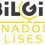 Küçük resim: BILGI NADORU LISES logo in yellow and black colors, simple design.