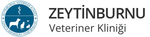 VEYTİN veteriner yazısı. YeniVet Yorumları, veteriner hizmetleri, güvenilir veteriner kliniği için.