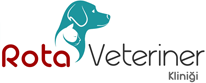 Turquoise dog and cat logo with YeniVet Vete text, veterinary clinic logo.