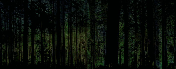 S07.gif