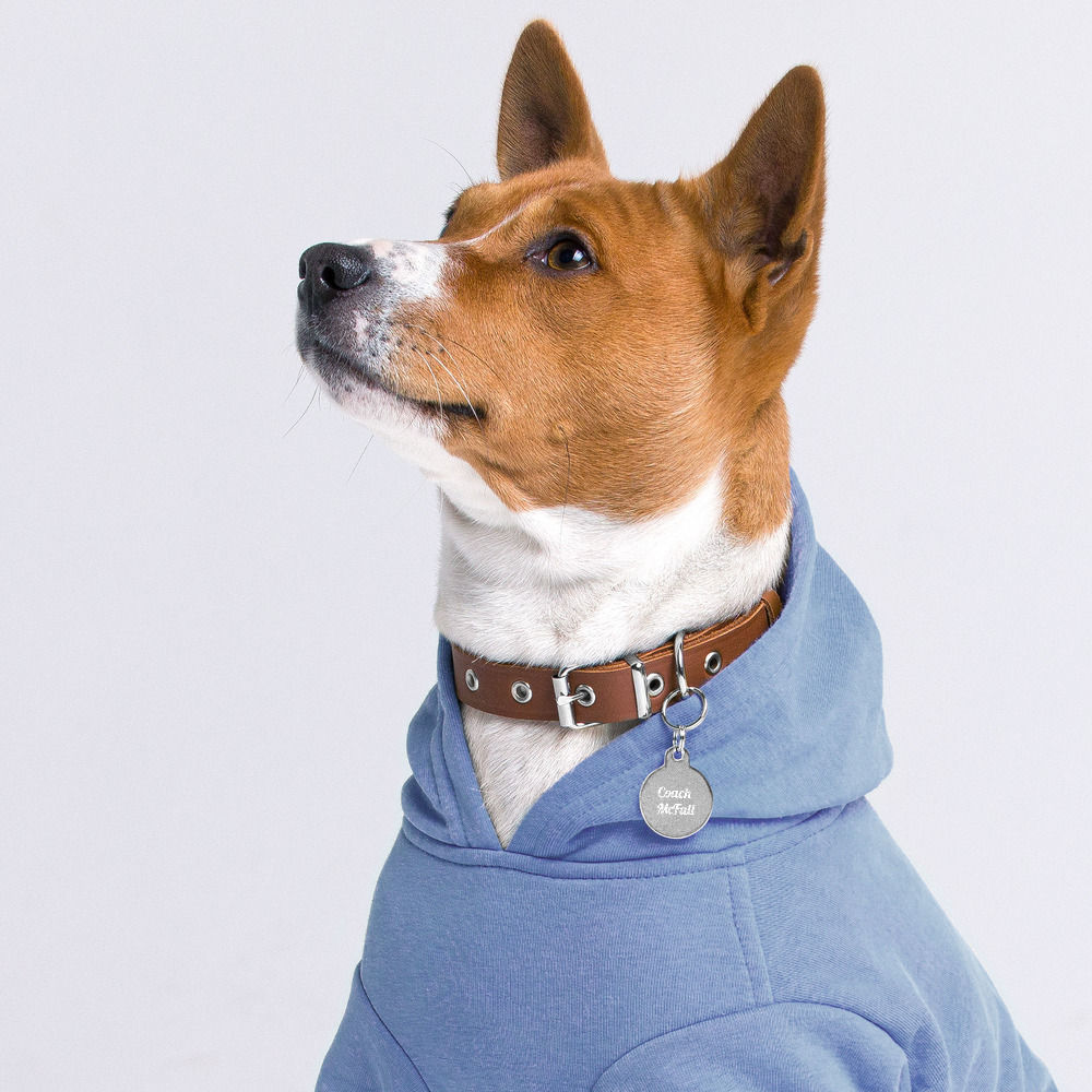 Coach McFall Engraved pet ID tag