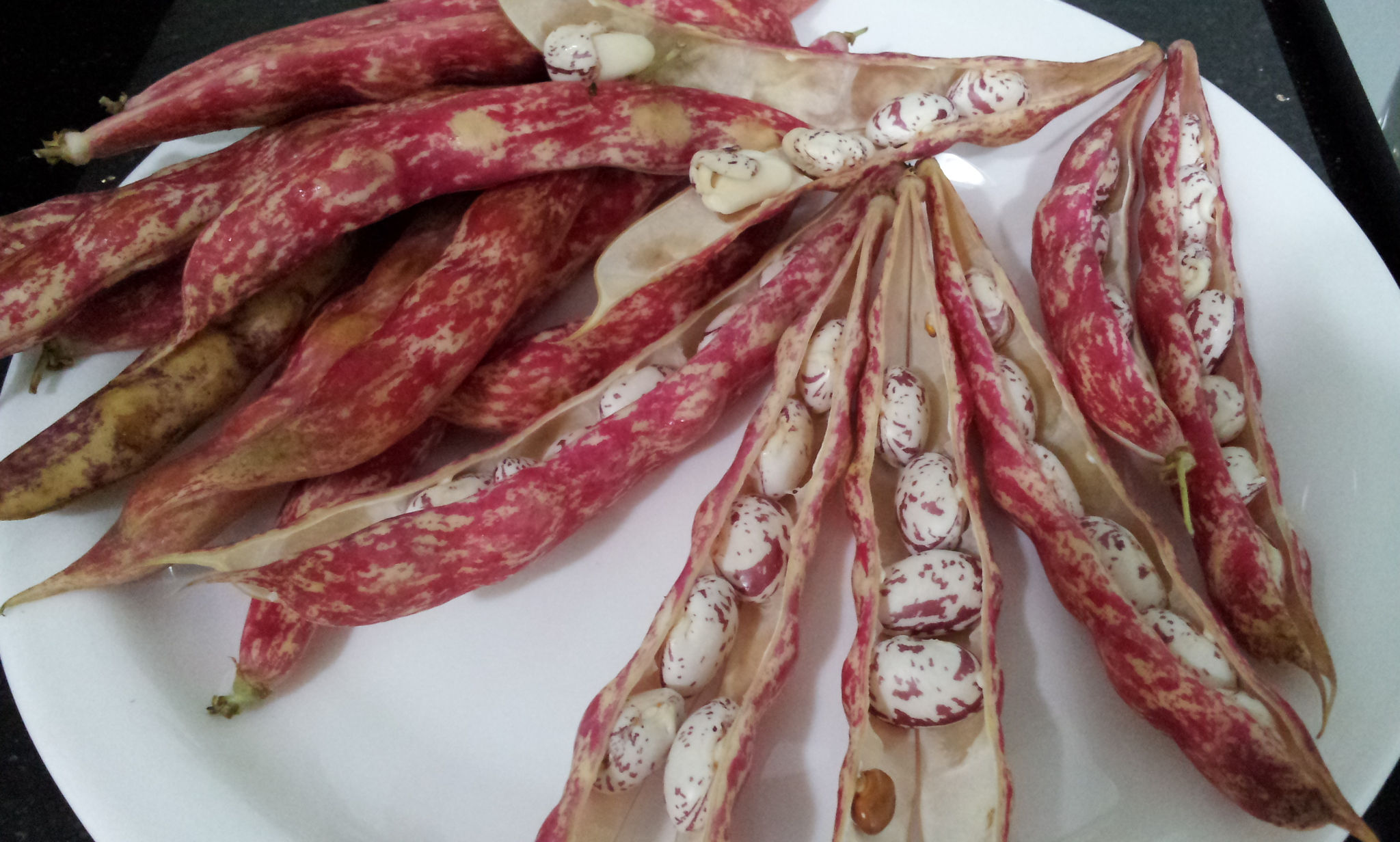 Mushroom Bean (Pearl Bean) 200g