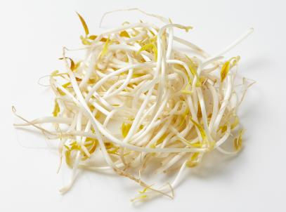 Bean Sprouts 500g