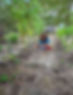 boy in garden.JPG