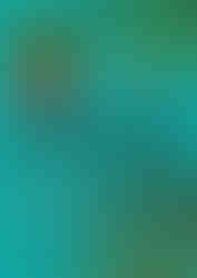 Capa do livro Os detetives do prédio azul: Casos ecológicos: vol. 4, de Flávia Lins e Silva, Editora Pequena Zahar