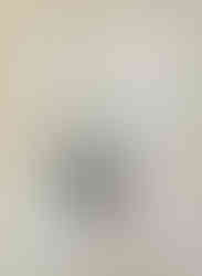 Capa do livro O dia em que virei um pássaro, de Ingrid Chabbert e (il) Guridi, Editora Pequena Zahar