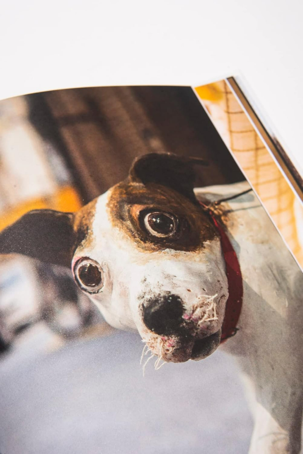 Página do livro Eu sou cachorro, Heena Baek, Amelì Editora