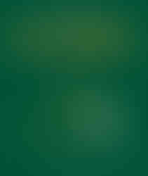 Capa do livro Hai-Quintal - Haicais descobertos no quintal, de Maria Valéria Rezende e (il) Myrna Maracajá, Editora Yellowfante