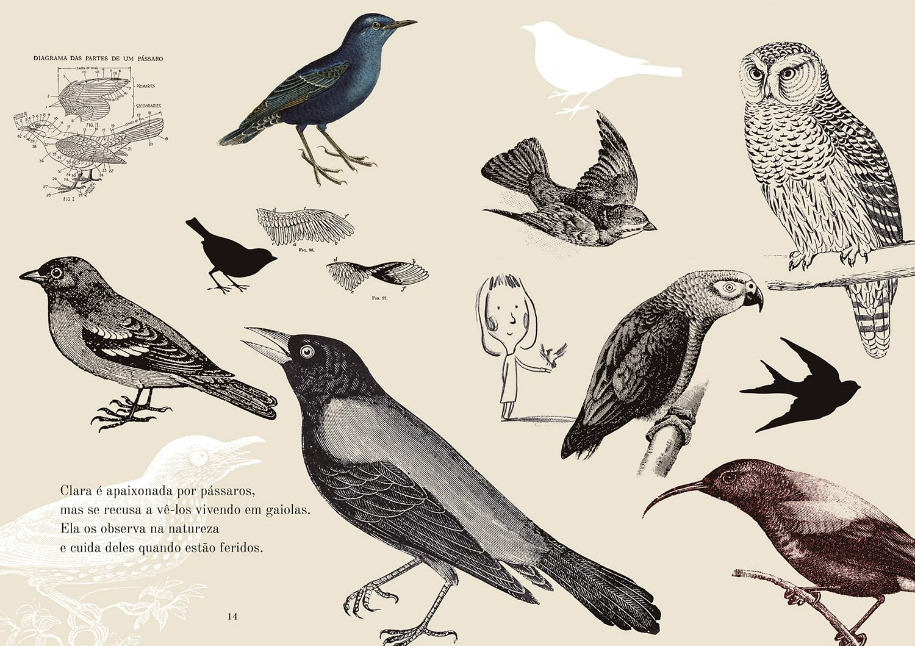 Página do livro O dia em que virei um pássaro, de Ingrid Chabbert e (il) Guridi, Editora Pequena Zahar