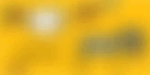 Página do livro O que é que tem no seu quintal?, de Bia Villela, Editora Moderna