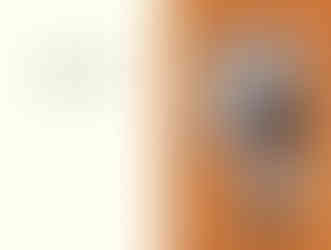 Página do livro Asas, de Maya Hanoch e (il) Ofra Amit, Editora Peirópolis