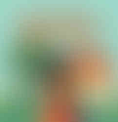 Capa do livro. Em frente a uma casa e uma árvore, casal sorri diante da gravidez da mulher.