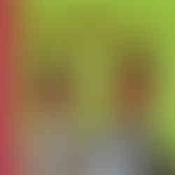 Capa do livro. Num fundo verde, os personagens Irmãos Rebouças são representados através de desenho.