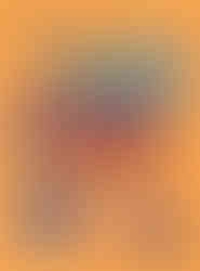 Capa do livro. Num fundo laranja, 4 personagens negros admiram seus diferentes penteados.