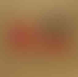 Capa do livro feita de papel no tom de papelão. Nela, numa pequena janela, um animal observa o leitor.