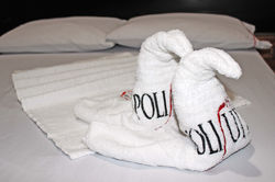 Hotel Polisuite